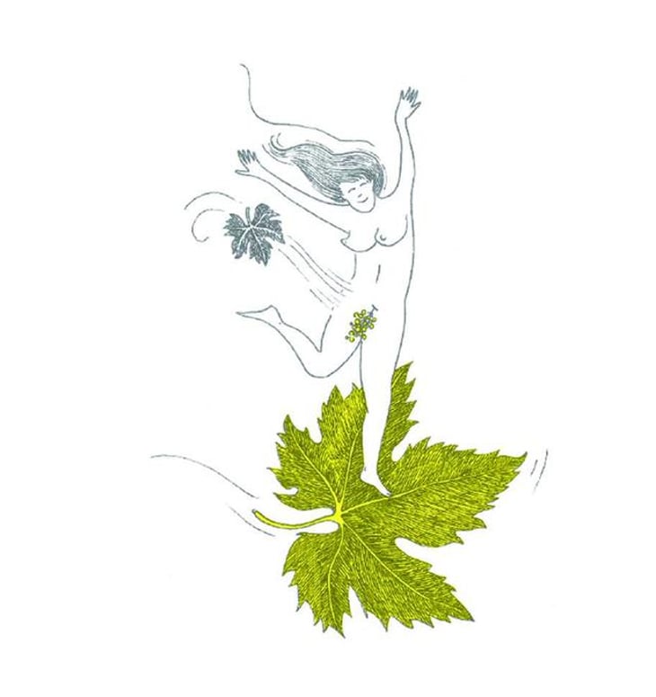 Le Vent Se Lève (Blanc) - Domaine Eole - herve-bessiere 