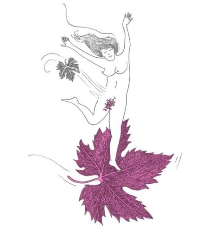 Le Vent Se Lève (Rosé) - Domaine Eole - herve-bessiere 