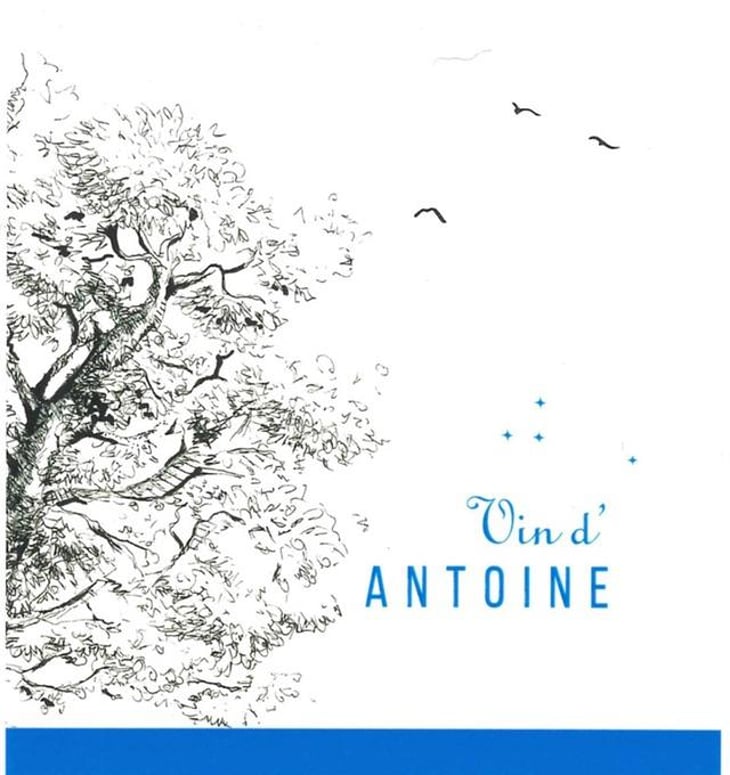 Le Vin d’Antoine - Domaine Saint Nicolas - mickael-antoine-thierry-michon 