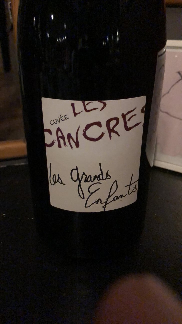 Les Cancres - Le Cri de L'Araignée - olivier-trombetta 