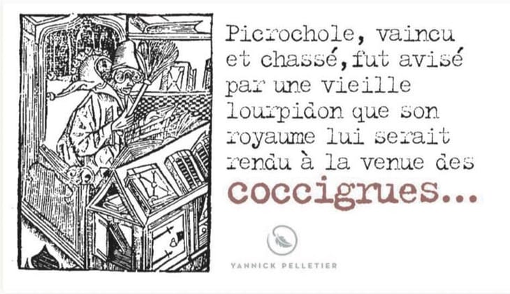 Les Coccigrues - Domaine Yannick Pelletier - yannick-pelletier 