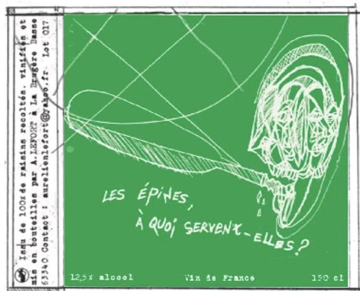 Les Épines À Quoi Servent Elles ? - Aurélien Lefort - aurelien-lefort 