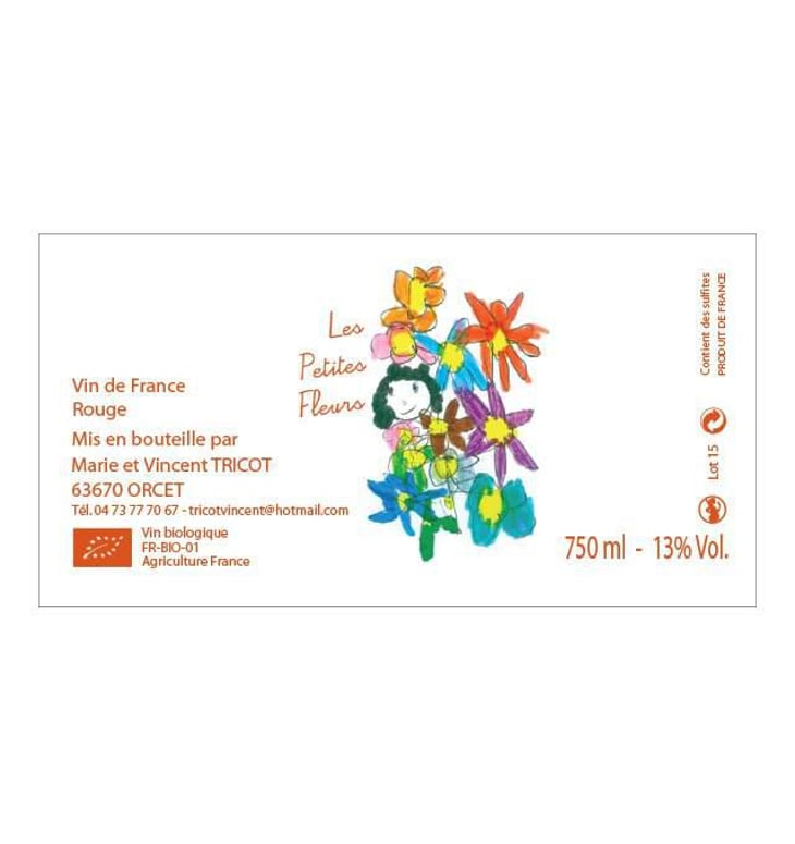 Les Petites Fleurs - Marie et Vincent Tricot - vincent-et-marie-tricot 