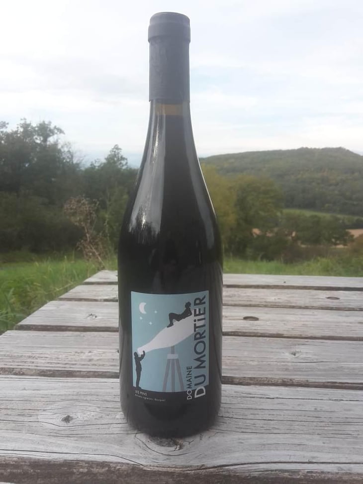 Les Pins - Domaine du Mortier - fabien-cyril-boisard -2018