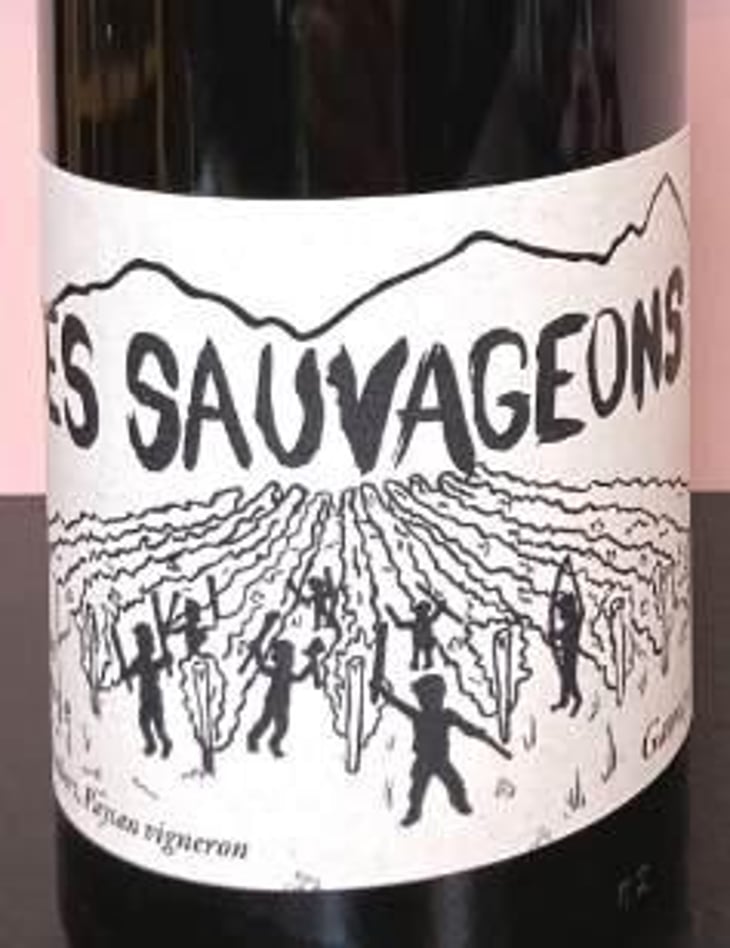 Les Sauvageons - La Vigne Sauvage - david-humbert 