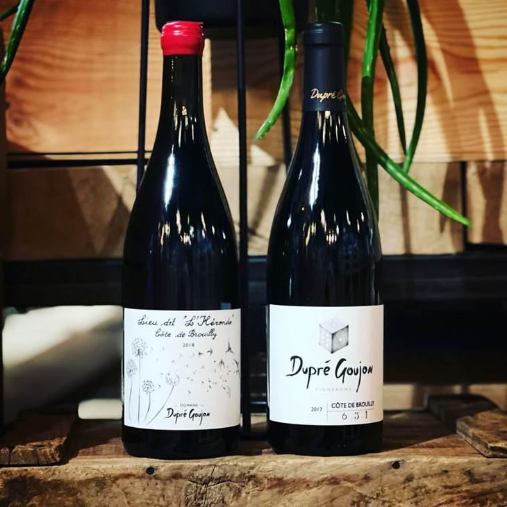 Lieu-dit l'Héronde - Dupré Goujon - sebastien-dupre-guillaume-goujon -2018