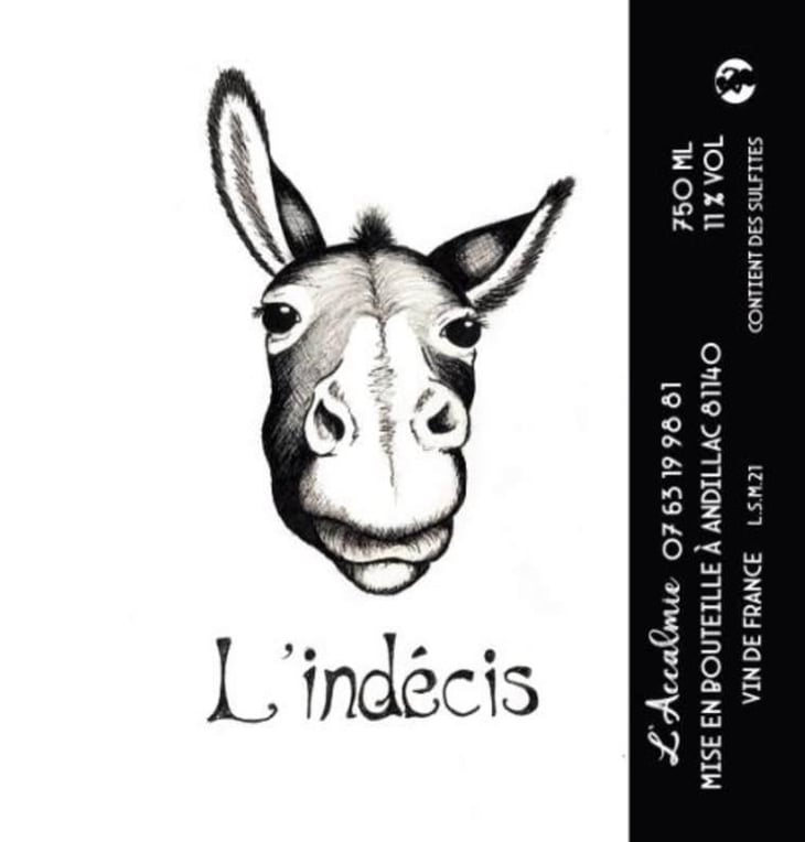L'indécis - Domaine de l'Accalmie - anne-camille-boucher -2022