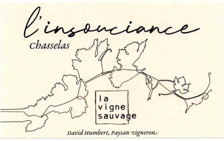 L'Insouciance - La Vigne Sauvage - david-humbert 