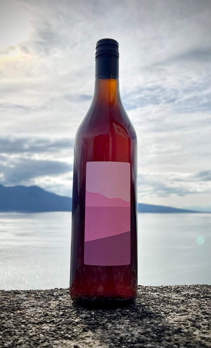 L’Insoumis - Clos Calamin - fabien-vallelian 