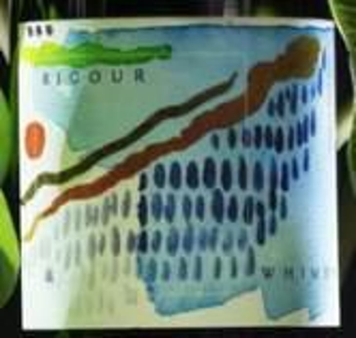 Gamay Noir - Rigour & Whimsy - costa-gavaris 