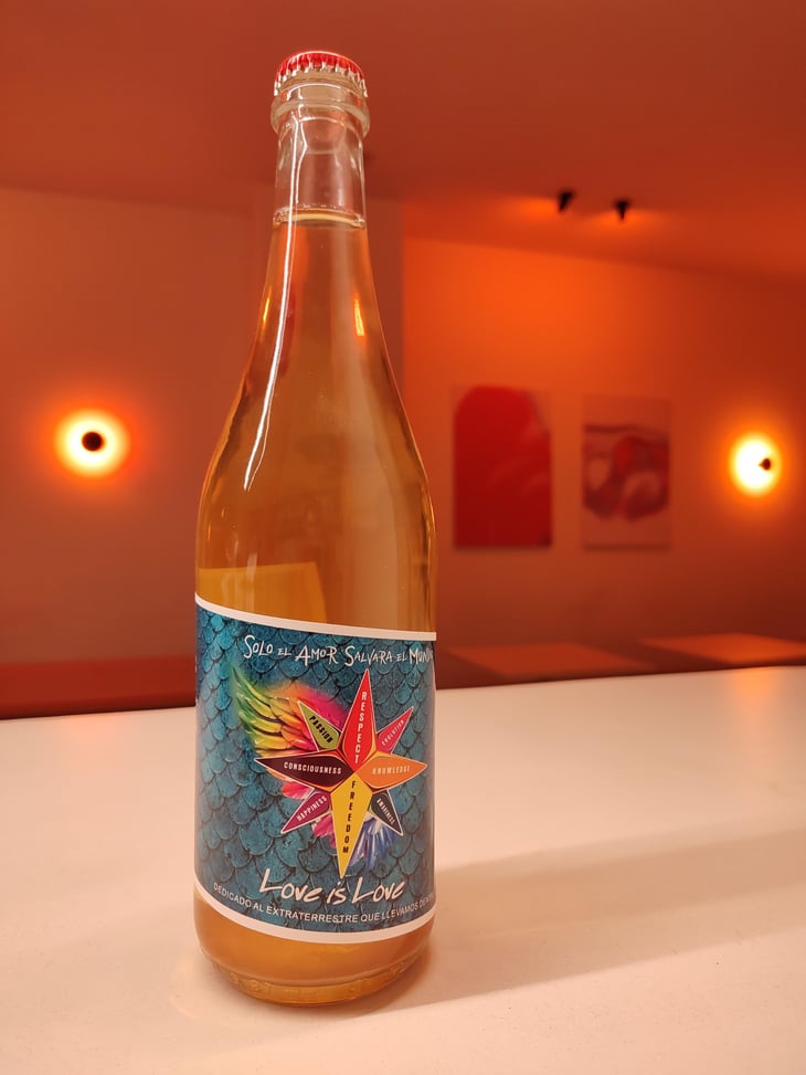 Love is love - Solo El Amor Salvara Al Mundo - pablo-quiroga 