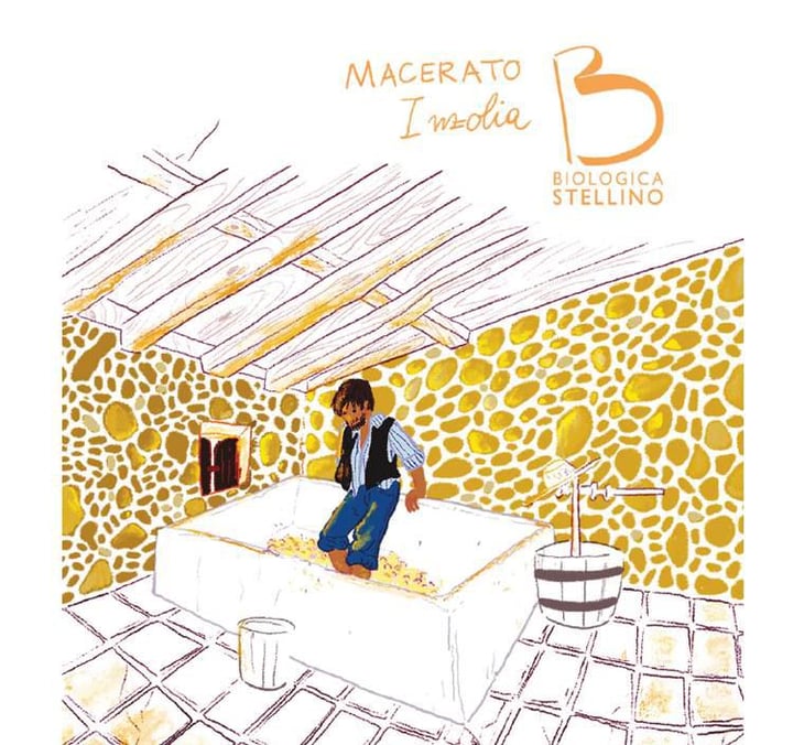 Macerato - Biologica Stellino - tommaso-pietro-stellino 