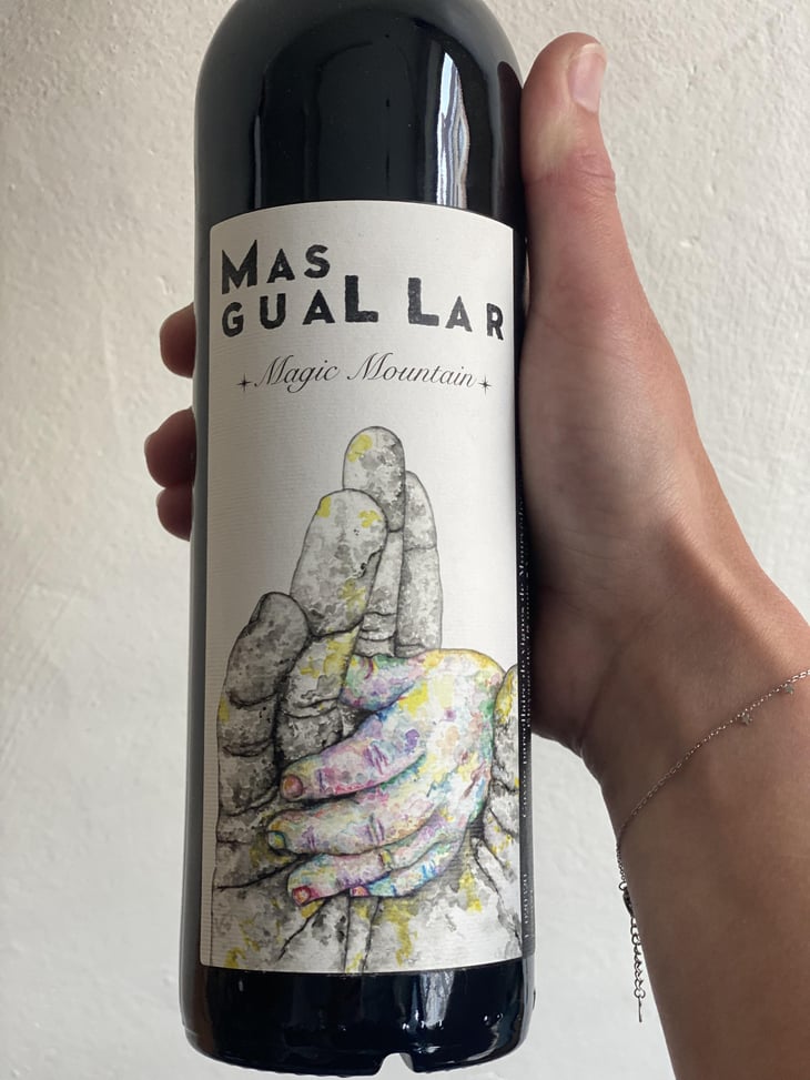 Magic Mountain - Mas Guallar - camila-opazo -2020