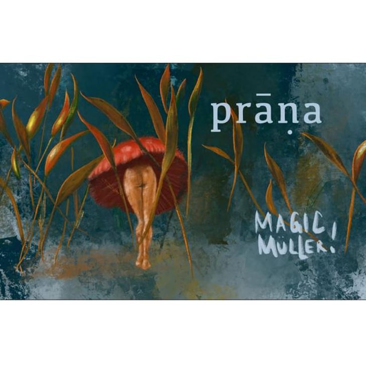 Magic Müller - Weingut Prāṇa - cosima-lindenau-niklas-eisenacher 