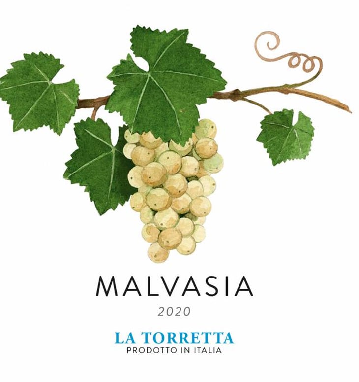 Malvasia - Azienda Agricola La Torretta - riccardo-magno-maria-enqvist -2019