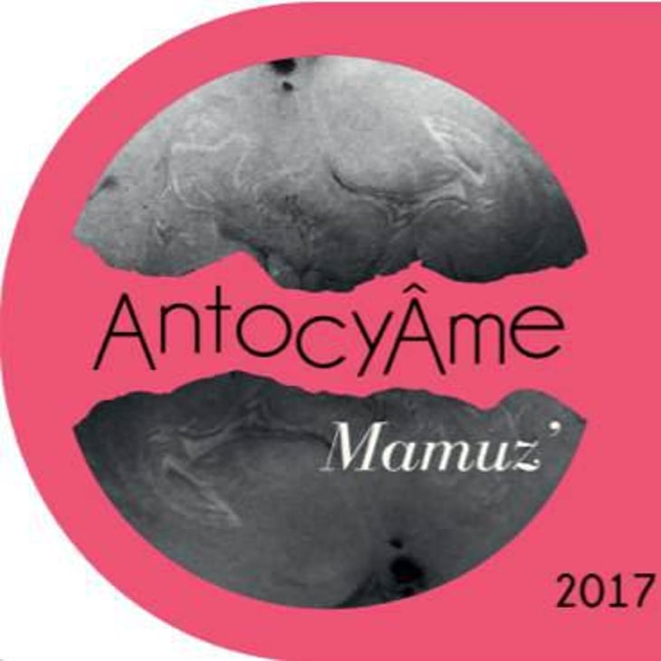 Mamuz - AntocyÂme - muriel-zoldan 