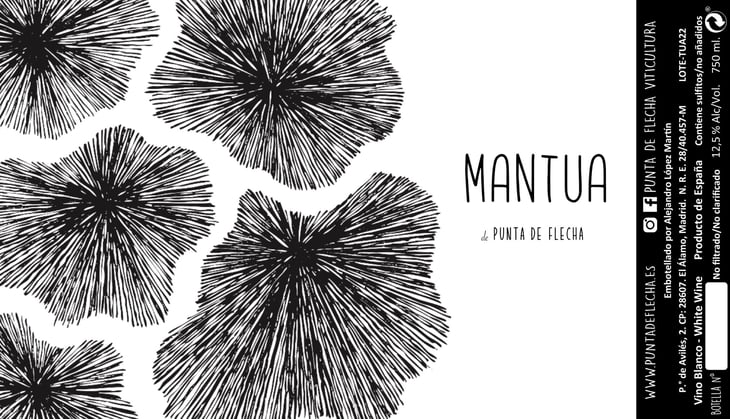 Mantua - Bodega Punta De Flecha - alejandro-lopez-martin 