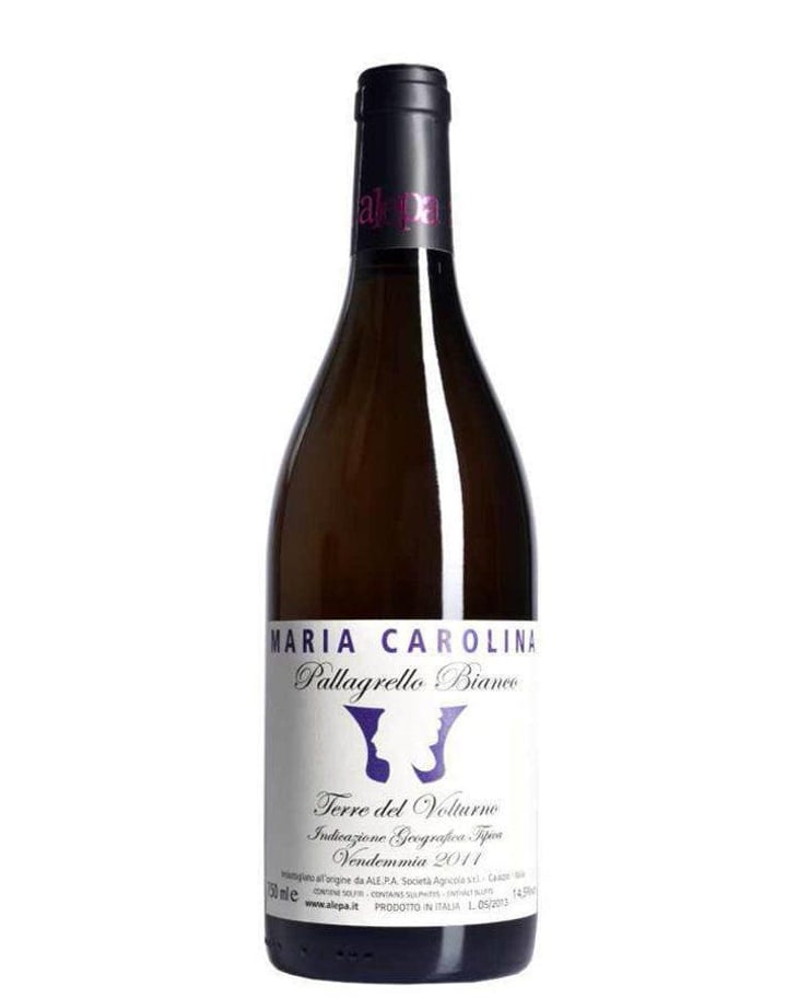 MARIA CAROLINA Bianco - Ale.p.a. società agricola - paola-riccio 