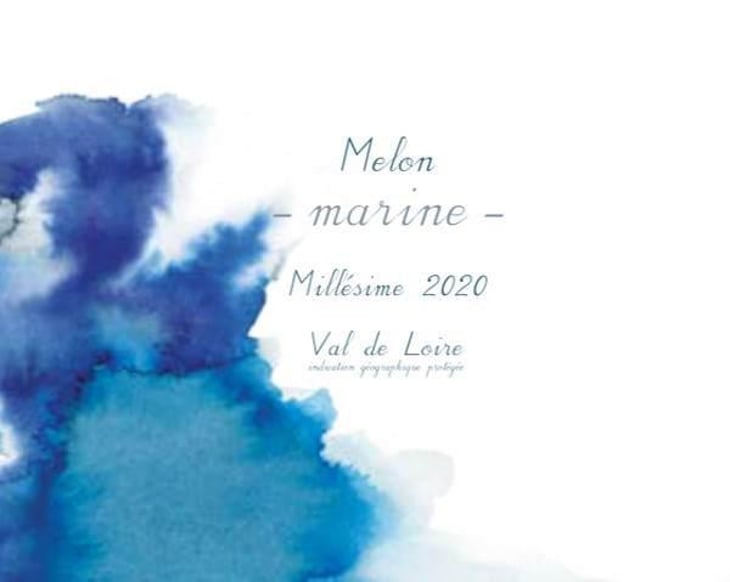 Marine - 1006 Vins de Loire - pauline-lair 