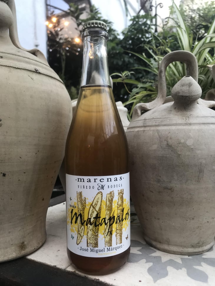 Matapalos - Marenas Viñedo y Bodega - jose-miguel-marquez-herrador -2021