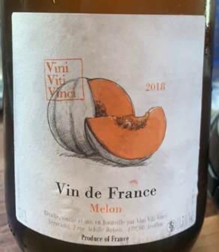 Melon - VDF - Vini Viti Vinci - nicolas-vauthier-kikro 