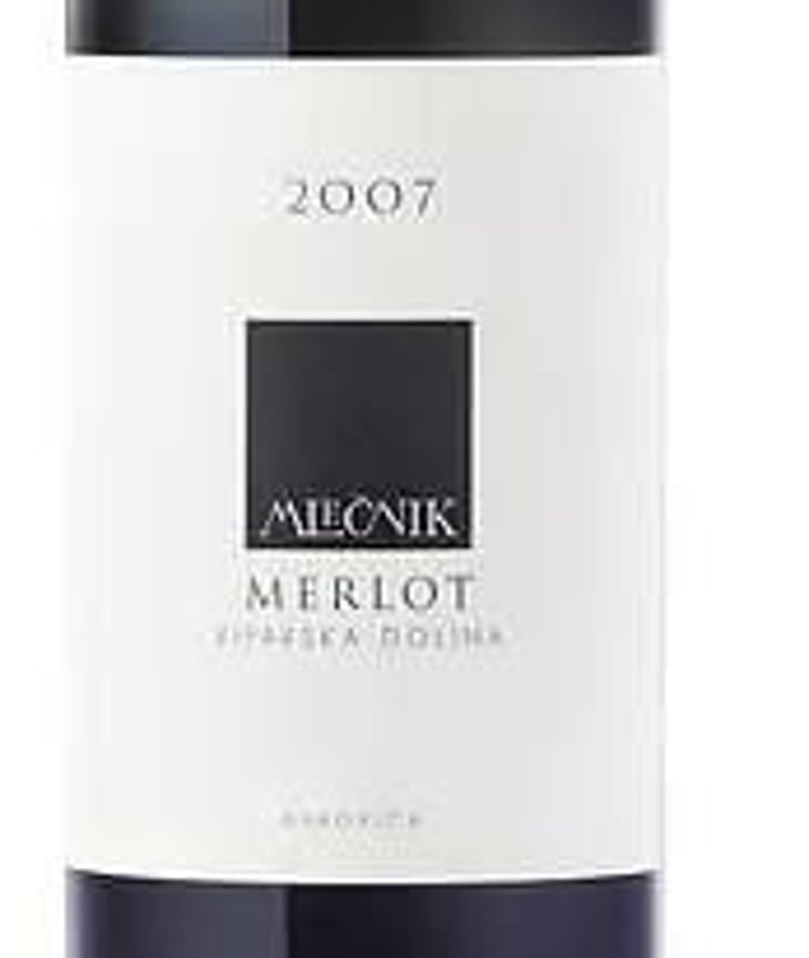 Merlot - Organic farm Mlečnik - mlecnik-valter-and-klemen 