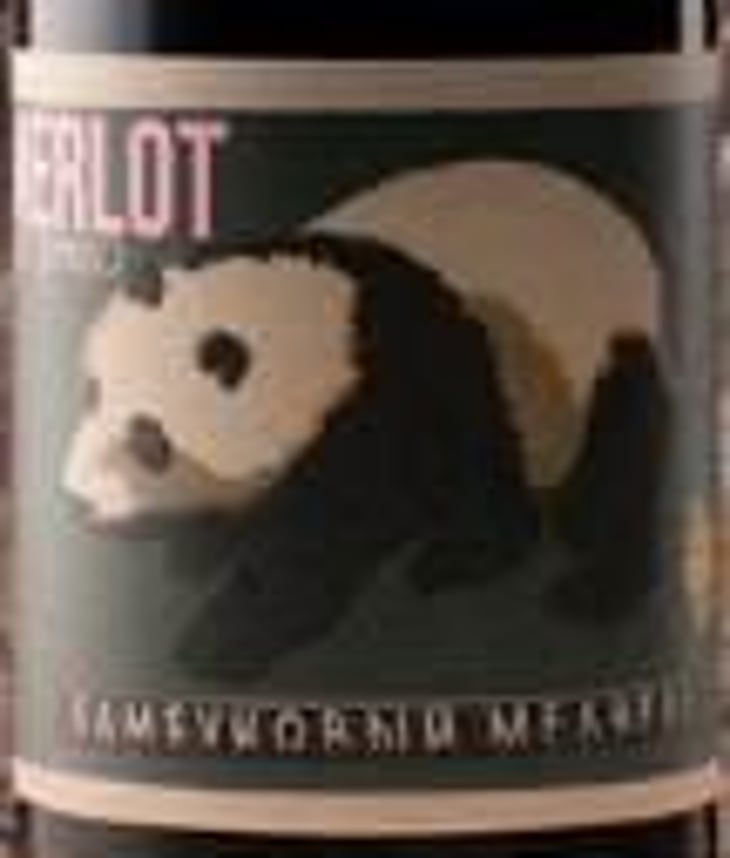 Merlot - Ricco Bambino - jason-alton 