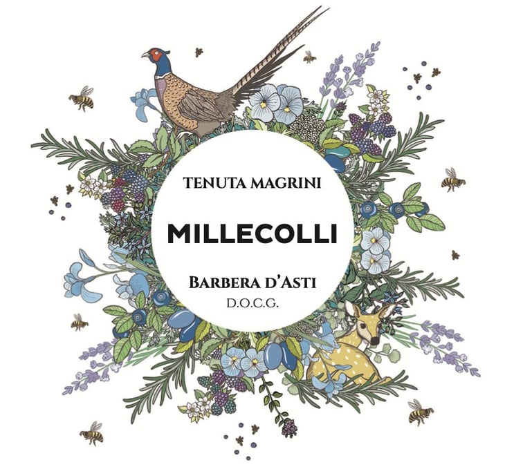 Millecolli - Tenuta Magrini - maura-satta-flores 