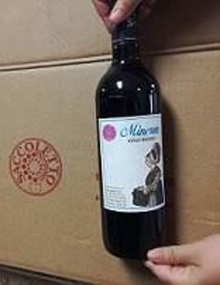 MINERVA - Saccoletto Vini - daniele-saccoletto 