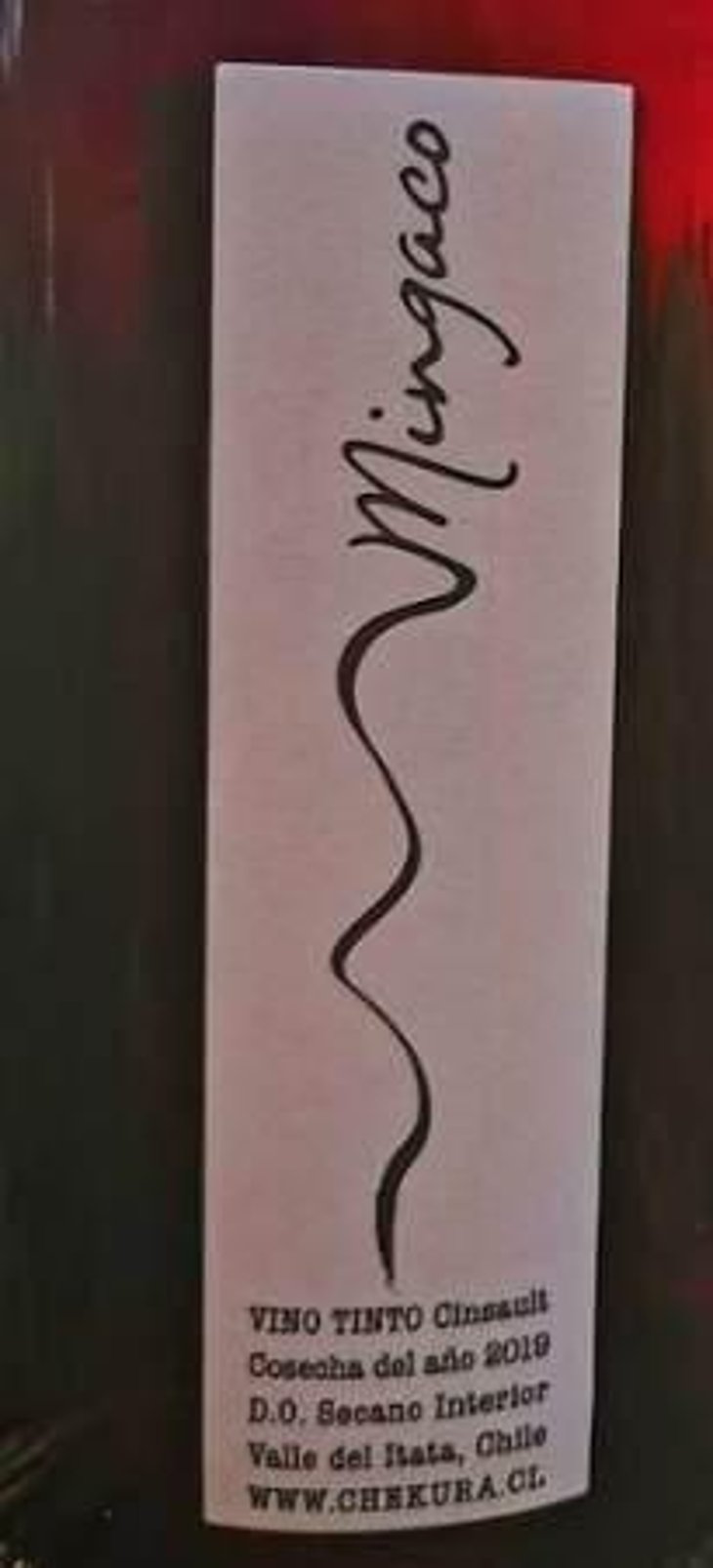 Mingaco Cinsault - Vinos Mingaco - Chekura - pablo-pedreros-daniela-de-pablo-mendoza 