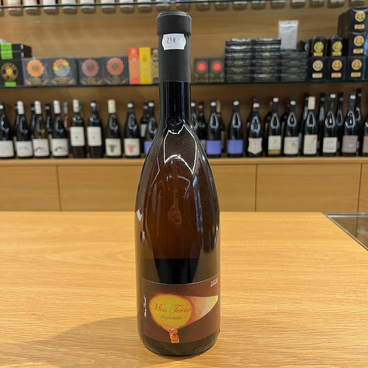 Miss Terre Terroir Amphibolite - La Sénéchalière - marc-pesnot -2020