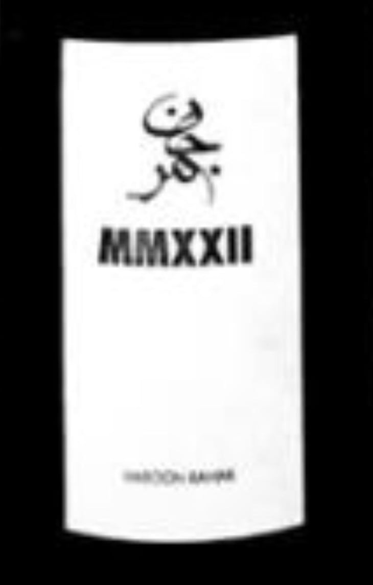 MMXXII - Harjane - haroon-rahimi 