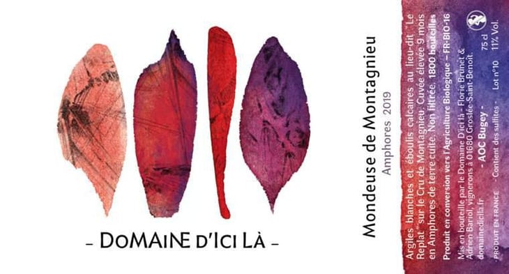 Mondeuse de Montagnieu Amphores - Domaine D'ici là - adrien-bariol -2019