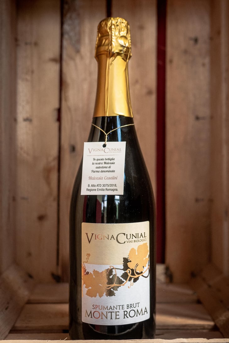 Monteroma Spumante brut - Vigna Cunial - leonardo-cunial -2020