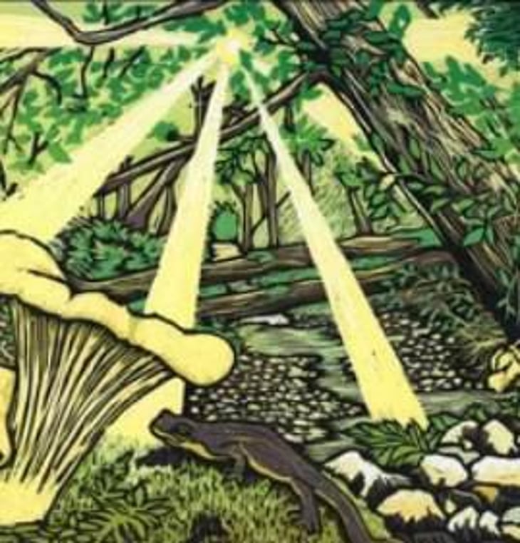 Moonmilk - Florèz Wines - james-jelks 