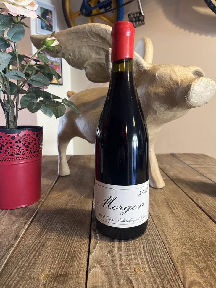 Morgon2021 - Domaine Marcel Lapierre - mathieu-camille-lapierre -2021
