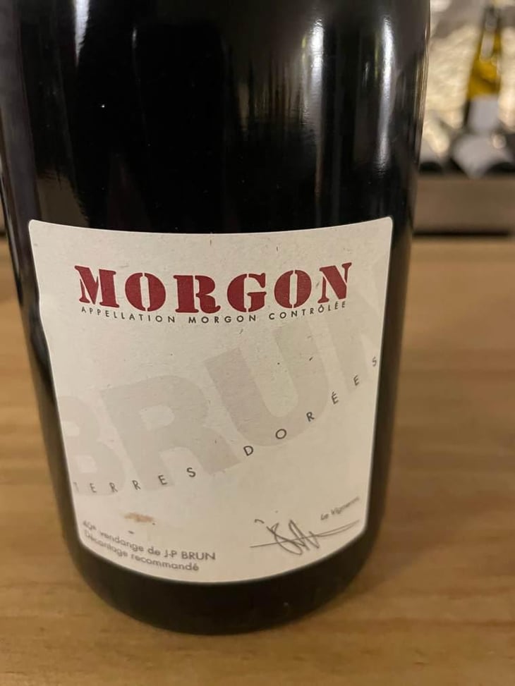 Morgon - Domaine des Terres Dorées - jean-paul-brun -2019