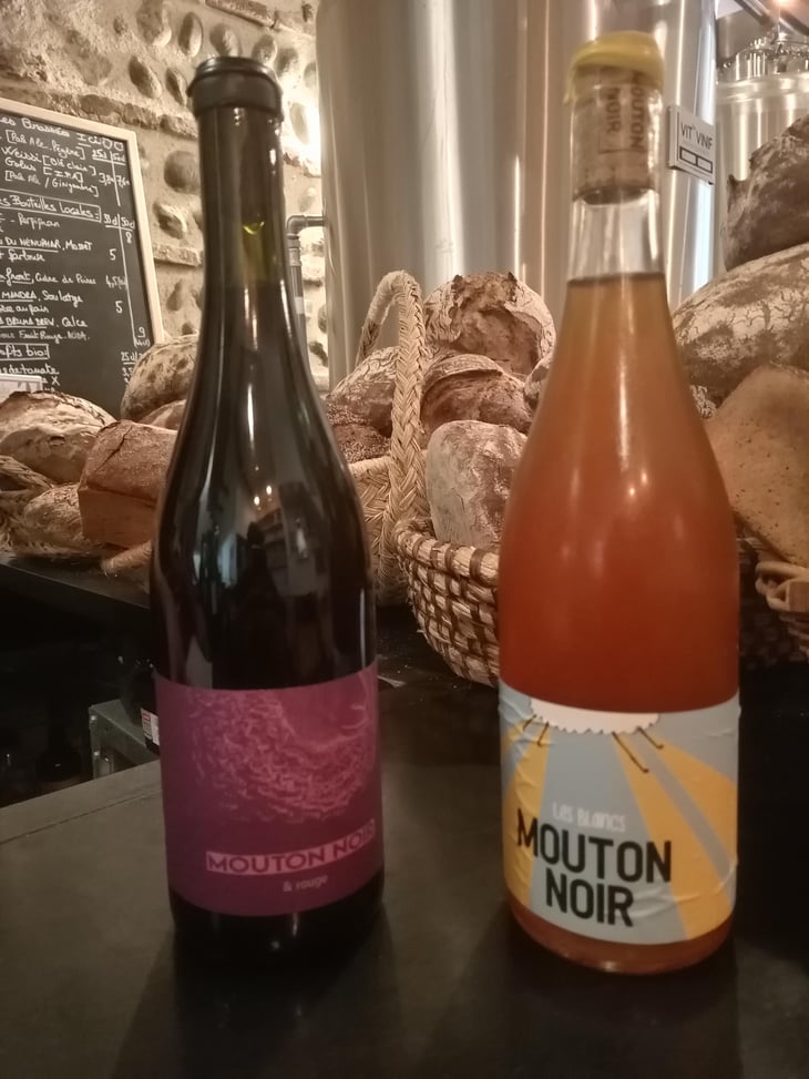 Mouton noir et rouge - Mas du Mouton Noir - cedric-mouton 