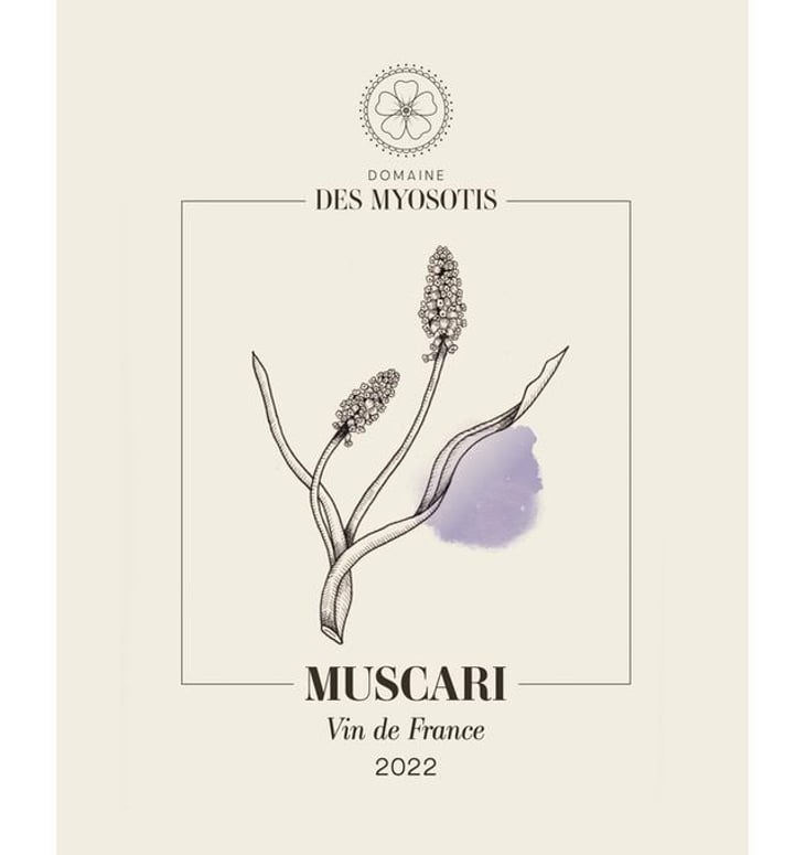 Muscari - Domaine des Myosotis - justine-rivet-et-romain-bourreau 