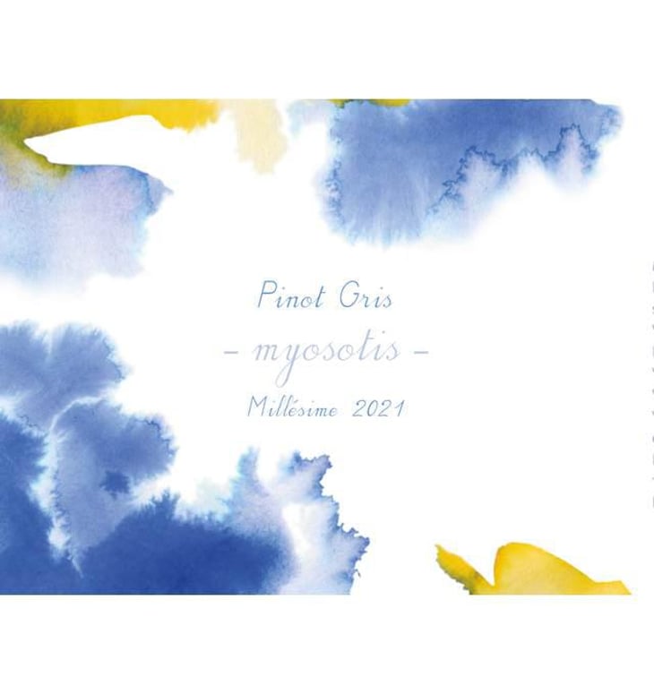 Myosotis - 1006 Vins de Loire - pauline-lair 