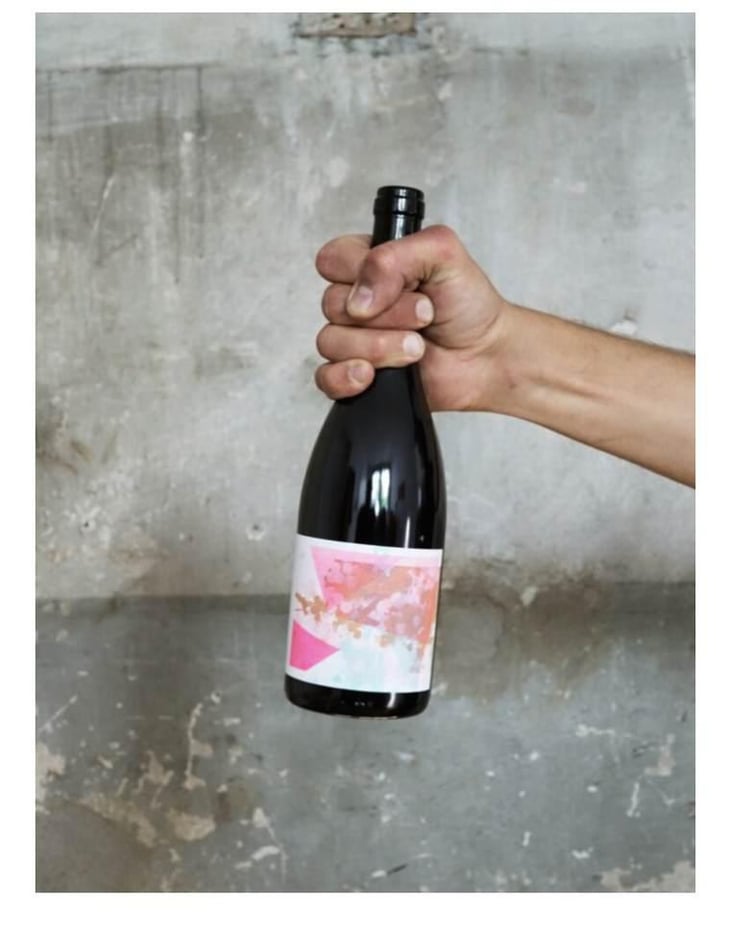 Nagelstein Pinot Noir - Weinbau Grob Chlapf - philipp-grob 