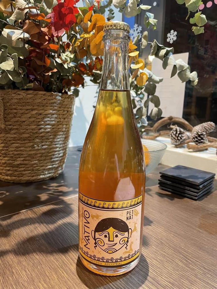 Nativo - Sexto Elemento - rafael-lopez 