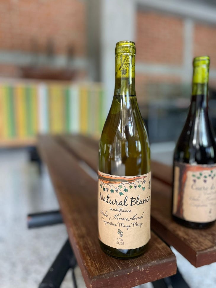 Natural Blanco - Viñedos Herrera Alvarado - carolina-alvarado-arturo-herrera 