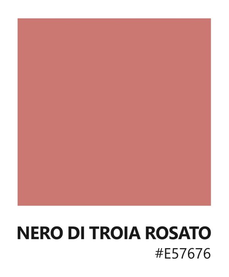 Nero di Troia Rosato - Tenuta Demaio - antonio-demaio -2020