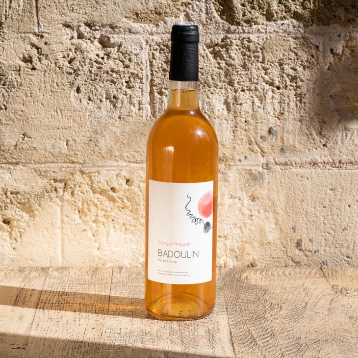 Nimportnawak ! - Stéphan Elzière - stephan-elziere -2016