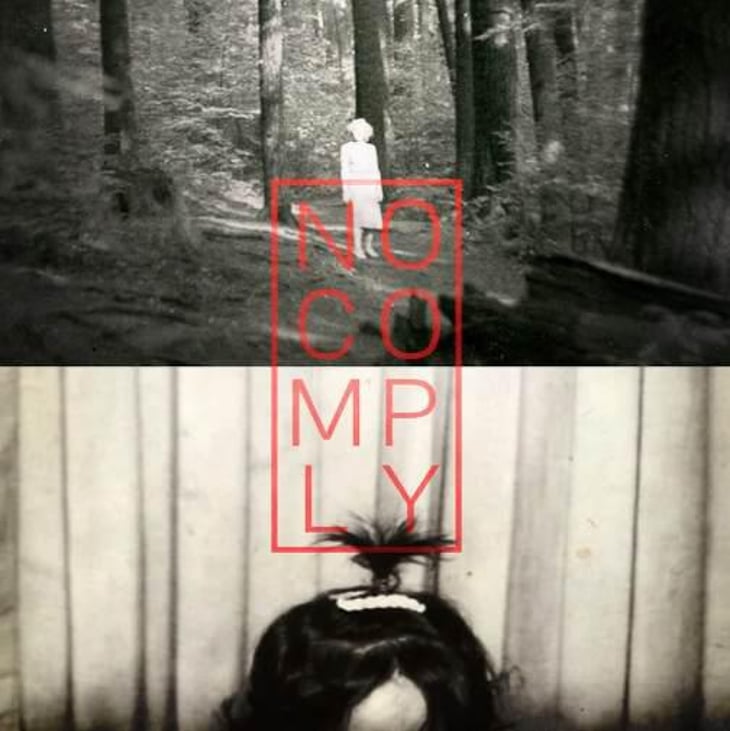 No Comply - Deux Punx - dan-schaaf-aaron-olson 