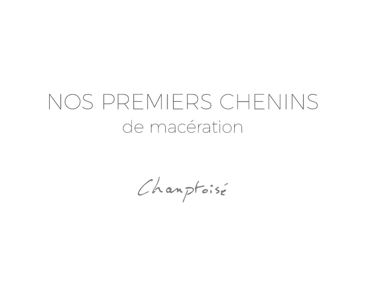 Nos Premiers Chenins de Macération - Champtoisé - Domaine Serol - stephane-et-carine-serol 