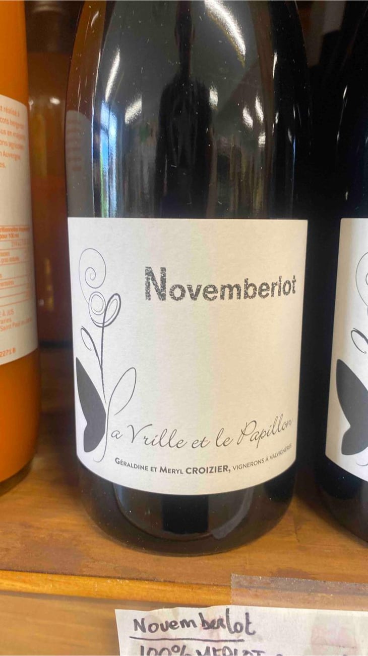 Novemberlot - La Vrille et le Papillon - geraldine-meryl-croizier 