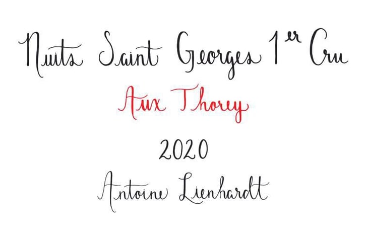 Nuits-Saint-Georges 1er Cru "Aux Thorey" - Antoine Lienhardt - antoine-lienhardt 