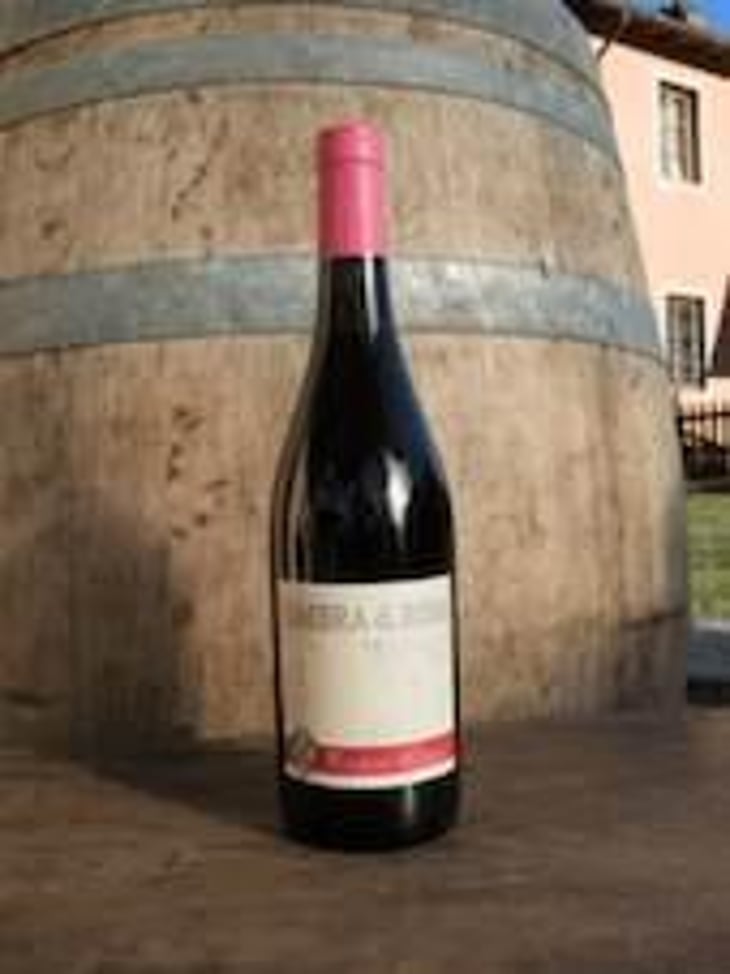 Ombra di Rosa - Podere Luisa - sauro-burzagli-e-romina-erbosi 